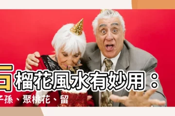【石榴花風水】石榴花風水有妙用：旺子孫、聚桃花、留福氣！
