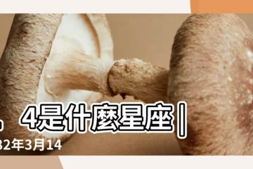 【1982年陰曆3月14是什麼星座】14是什麼星座 |1982年3月14日出生今年多大 |1982農曆3 |