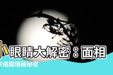 【眼小 面相】小眼睛大解密：面相專家揭露隱藏秘密