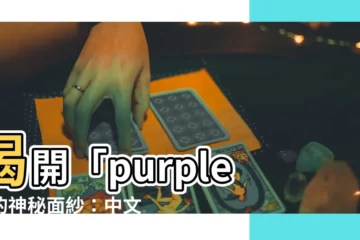 【purple意思】揭開「purple」的神秘面紗：中文意思、中文翻譯及更多