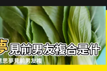 【做夢夢到自己要求和前男友複合】夢見前男友複合是什麼意思夢見前男友複合有什麼徵兆 |夢到和前男友複合有什麼含義 |夢見和前男友複合 |