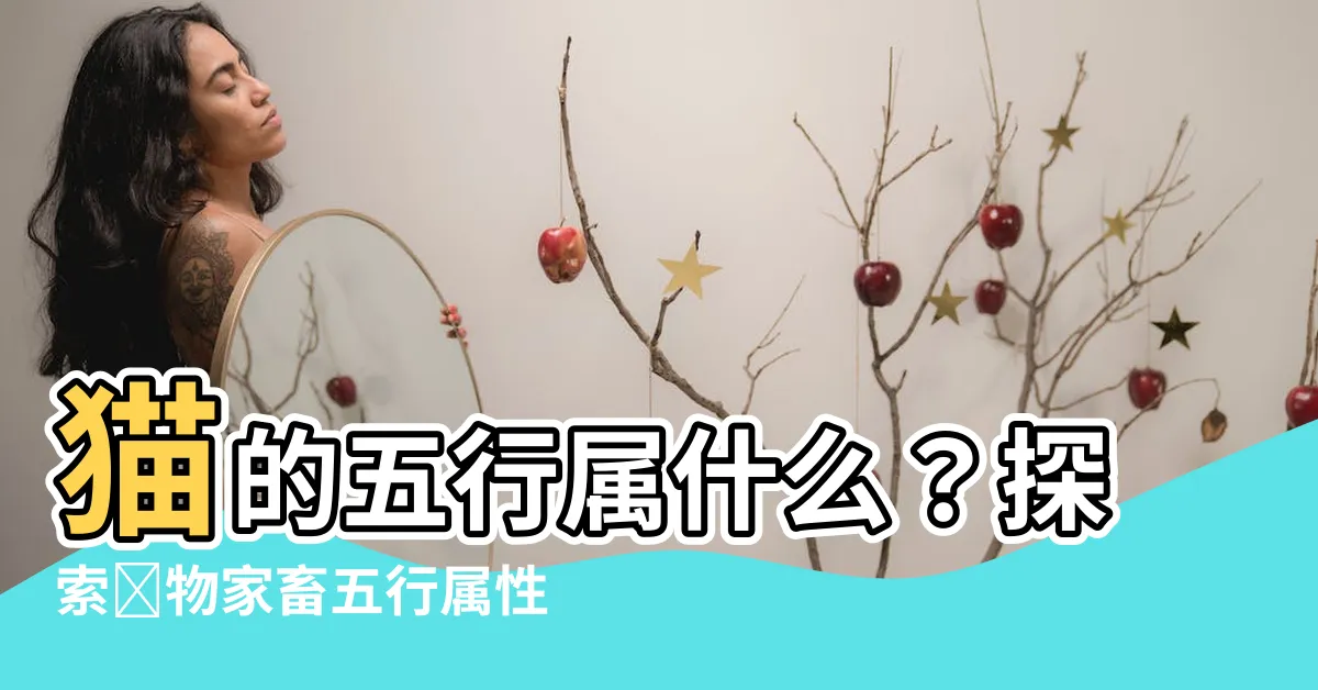 【貓五行屬什麼】貓的五行屬什麼？探索寵物家畜五行屬性與主人運勢的奧秘