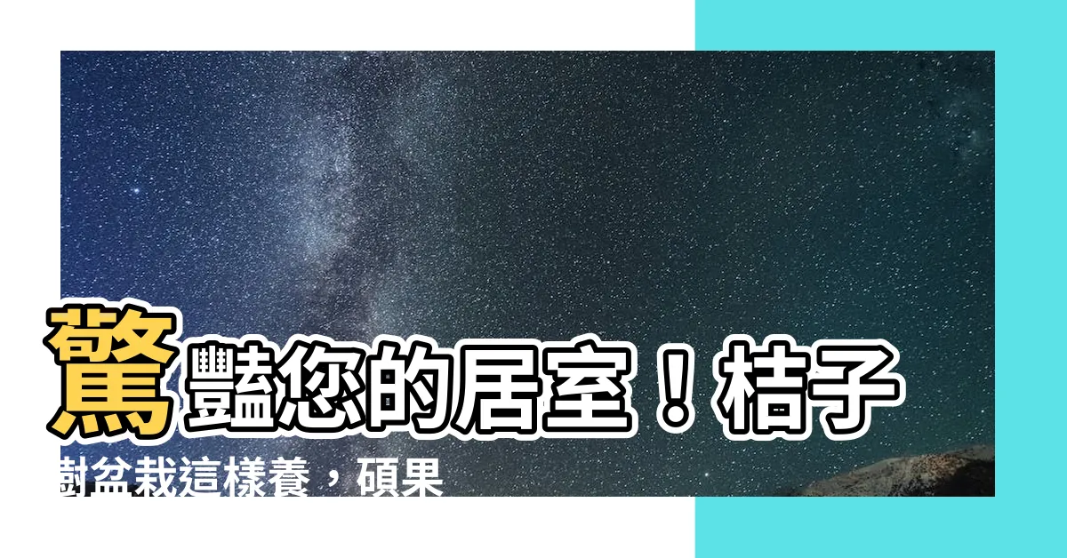【桔子樹盆栽】驚豔您的居室！桔子樹盆栽這樣養，碩果滿枝，打造綠意盎然的家