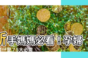 【孕婦需要什麼】新手媽媽必看！孕婦需要什麼？5大必需品指南