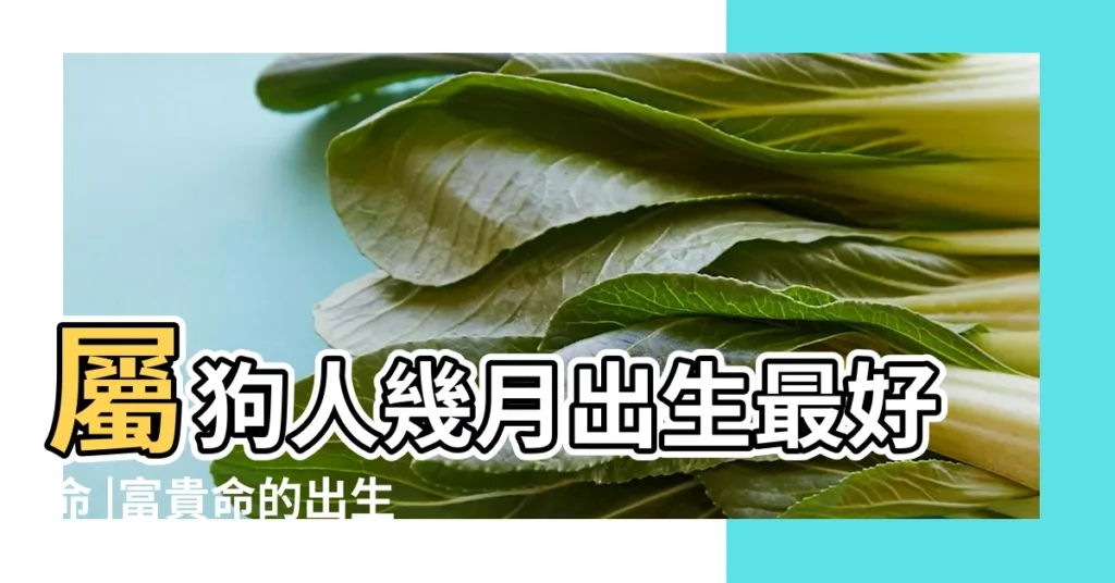 屬狗人幾月出生最好命 |富貴命的出生時間 |屬狗的什麼時候發財 |【屬狗的人什麼時候最發】