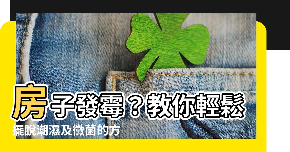 【房子發黴】房子發黴？教你輕鬆擺脱潮濕及黴菌的方法！