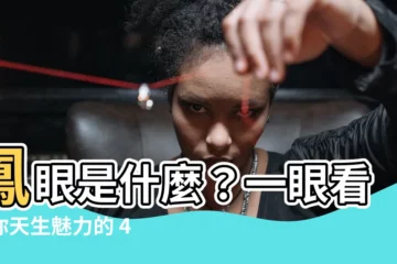 【鳳眼是什麼】鳳眼是什麼？一眼看穿你天生魅力的 4 種眼型大解析