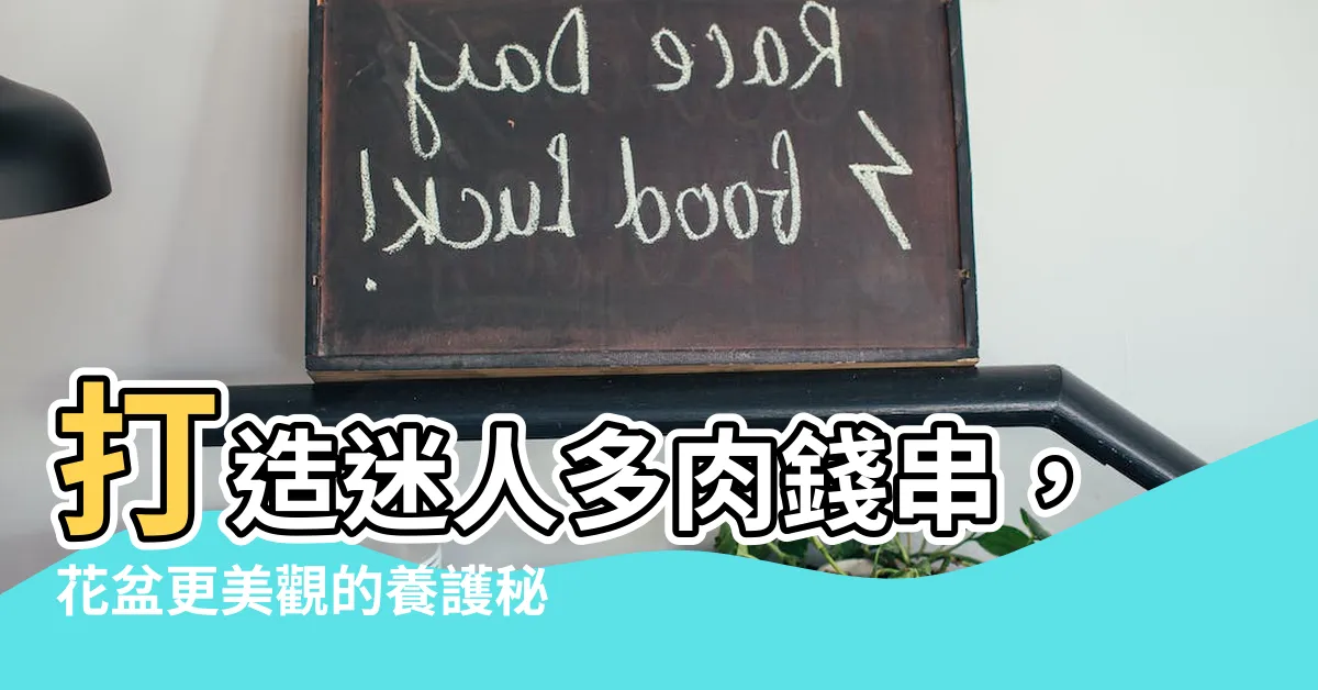 【多肉錢串】打造迷人多肉錢串，花盆更美觀的養護秘訣
