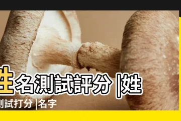 【免費算命測名大全】姓名測試評分 |姓名測試打分 |名字測試打分 |