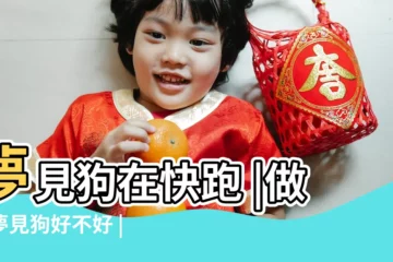 【做夢夢到狗快跑】夢見狗在快跑 |做夢夢見狗好不好 |夢見狗跑了 |