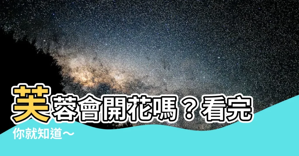 【芙蓉會開花嗎】芙蓉會開花嗎？看完你就知道～