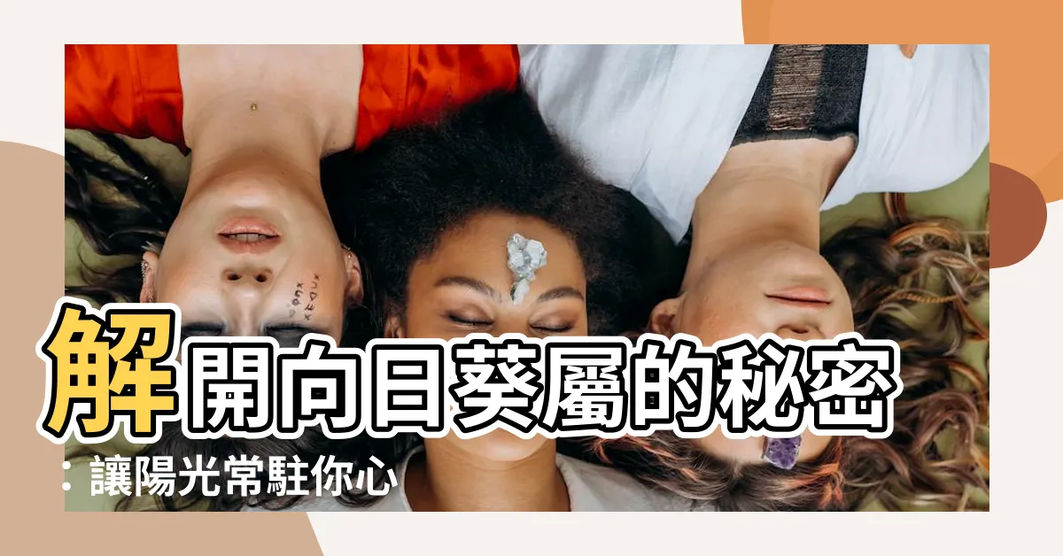 【向日葵屬】解開向日葵屬的秘密：讓陽光常駐你心