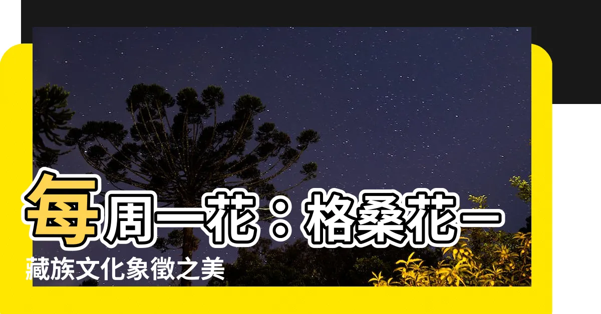 【格桑花】每週一花：格桑花－藏族文化象徵之美