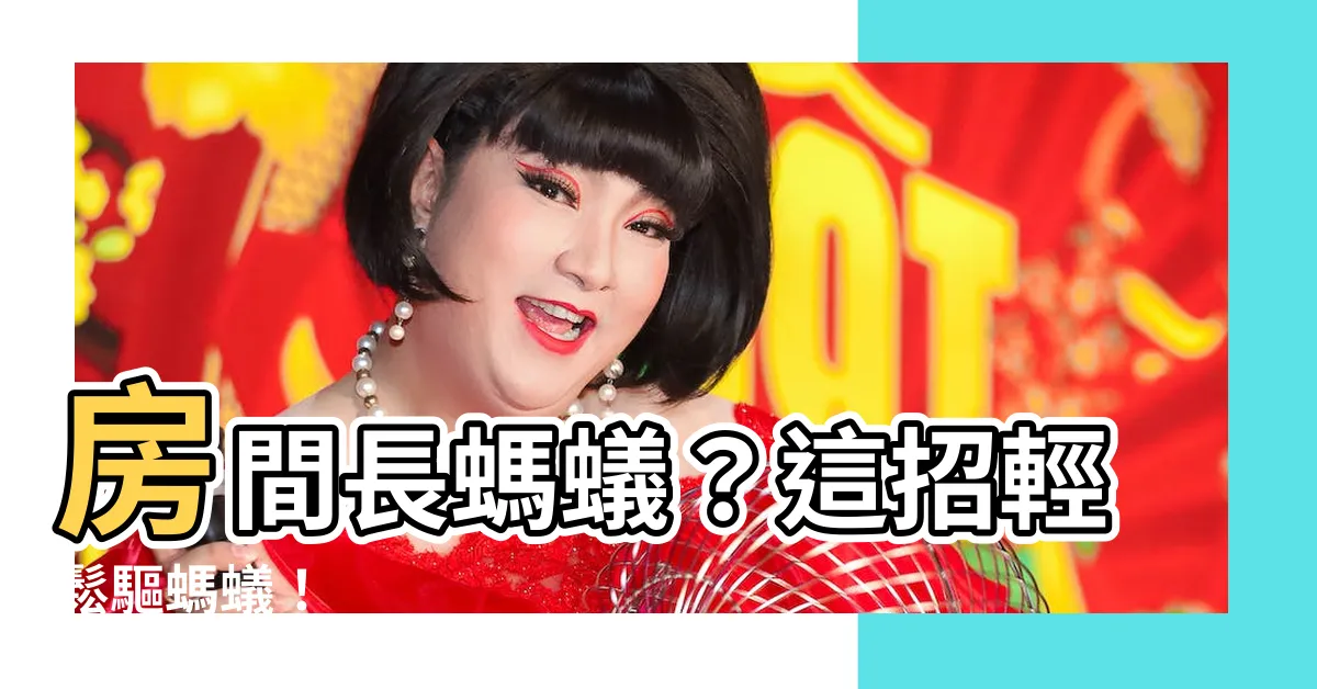 【房間長螞蟻】房間長螞蟻？這招輕鬆驅螞蟻！