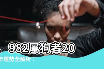 【1982 屬狗】1982屬狗者2024年運勢全解析：事業、財運、愛情大解析