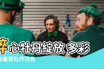 【牡丹花顏色】醉心牡丹綻放 多彩花姿盡覽牡丹花色