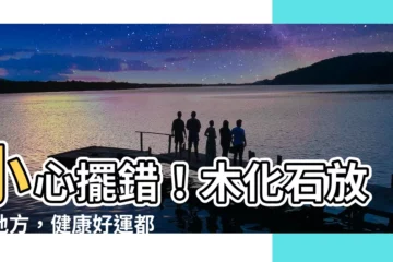 【木化石擺放】小心擺錯！木化石放對地方，健康好運都來！