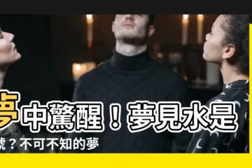 【夢見水是幾號】夢中驚醒！夢見水是幾號？不可不知的夢境號碼解析