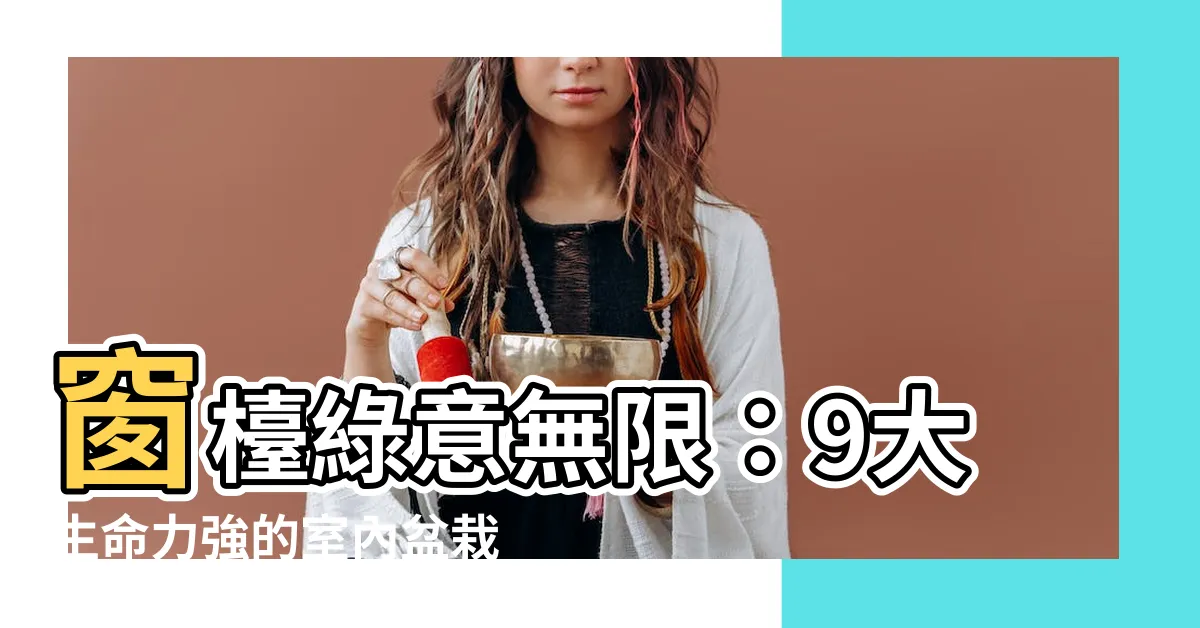 【窗台植物】窗枱綠意無限：9大生命力強的室內盆栽