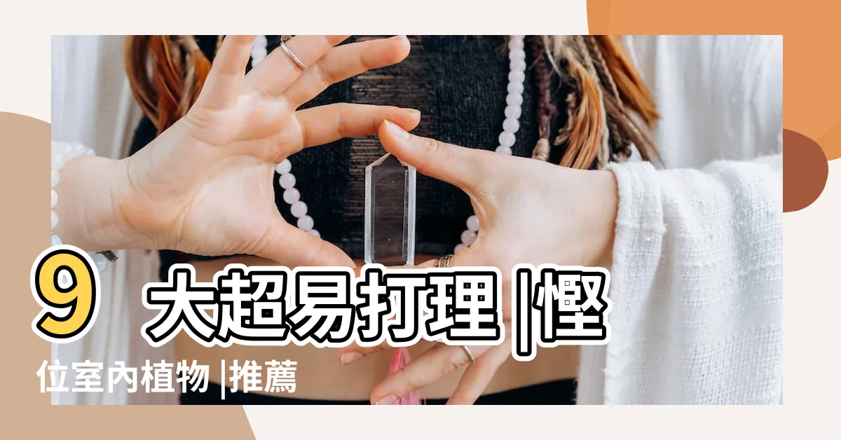 【室內放什麼花】9大超易打理 |慳位室內植物 |推薦10種花期長的室內觀花植物 |
