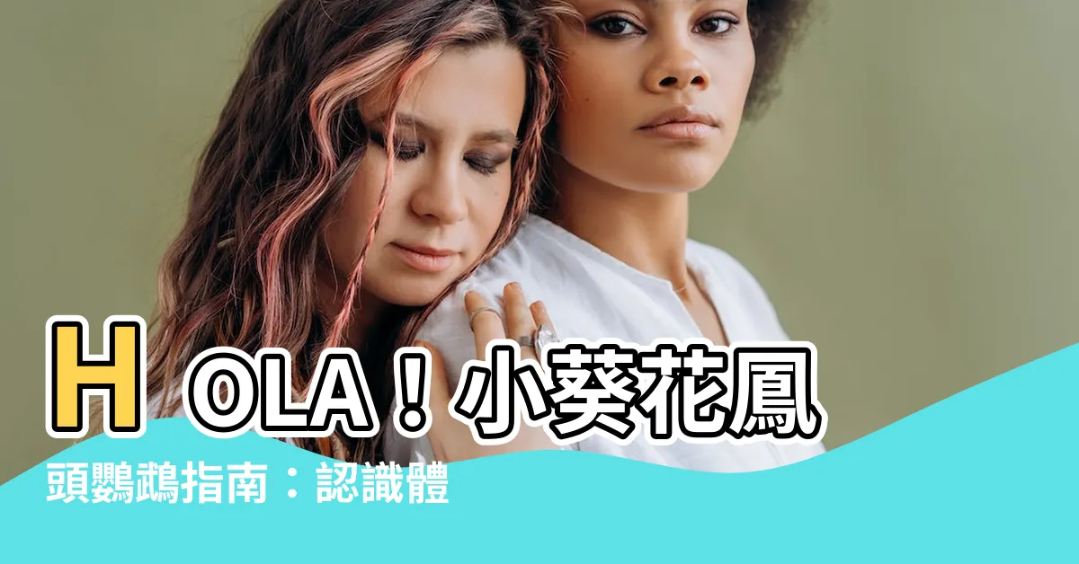 【小葵花鳳頭鸚鵡】HOLA！小葵花鳳頭鸚鵡指南：認識體型、習性與迷人之處