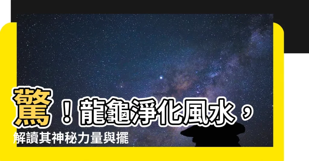 【龍龜淨化】驚！龍龜淨化風水，解讀其神秘力量與擺放指南