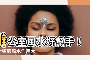 【波士頓蕨風水】辦公室風水好幫手！波士頓蕨風水作用大公開！