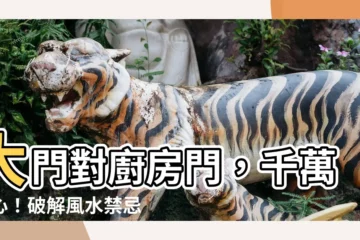 【大門對廚房門】大門對廚房門，千萬小心！破解風水禁忌，打造好宅風水