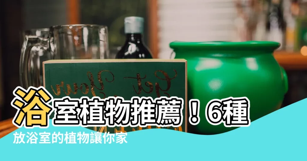 【放浴室的植物】浴室植物推薦！6種放浴室的植物讓你家美又健康