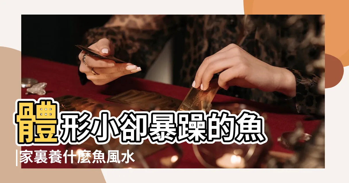 【鬥魚風水】體形小卻暴躁的魚 |家裏養什麼魚風水好 |鬥魚風水寓意 |