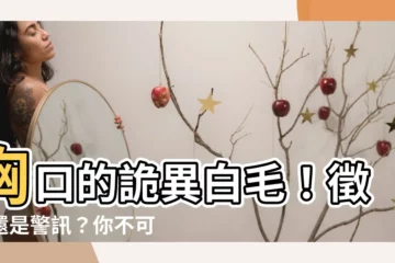【胸口長白毛】胸口的詭異白毛！徵兆還是警訊？你不可不知！