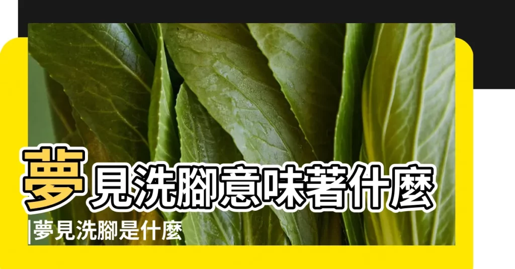 夢見洗腳意味著什麼 |夢見洗腳是什麼意思 |【夢見和情人洗腳】