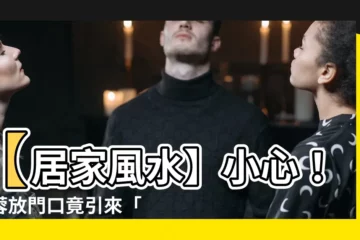 【芙蓉放門口】【居家風水】小心！芙蓉放門口竟引來「衰運纏身」？