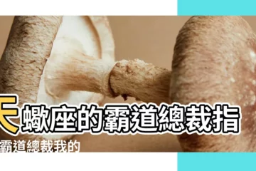 【天蠍霸道總裁文】天蠍座的霸道總裁指數 |霸道總裁我的天蠍男友 |霸道總裁天蠍男愛上你的表現 |