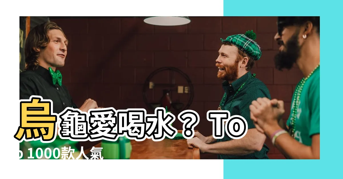 【烏龜水盆】烏龜愛喝水？ Top 1000款人氣烏龜水盆讓你買到手軟！