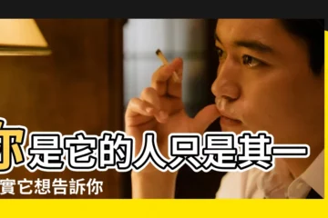 【狗狗為什麼喜歡咬我的手】你是它的人只是其一 |其實它想告訴你這幾件事 |主人的手 |