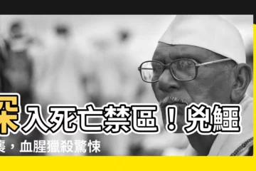 【兇鱷】深入死亡禁區！兇鱷來襲，血腥獵殺驚悚上演