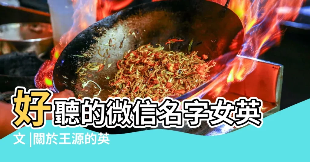 好聽的微信名字女英文 |關於王源的英文網名帶翻譯 |王俊凱粉絲專用網名 |【tfboys的英語暱稱女生】