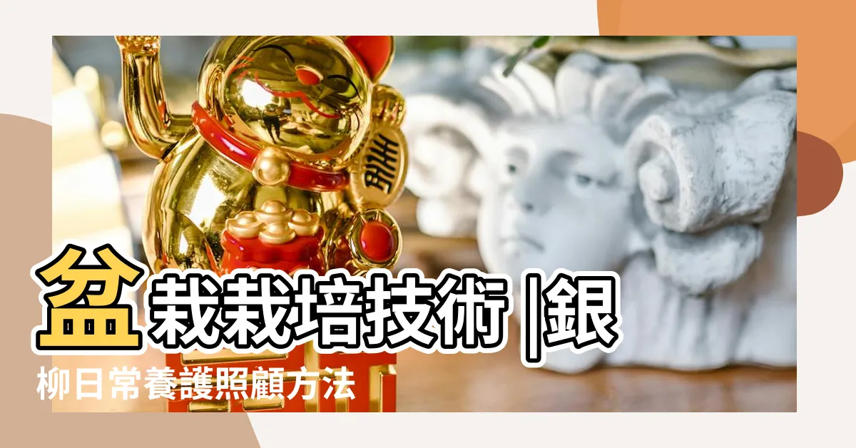 【銀柳盆栽】盆栽栽培技術 |銀柳日常養護照顧方法 |