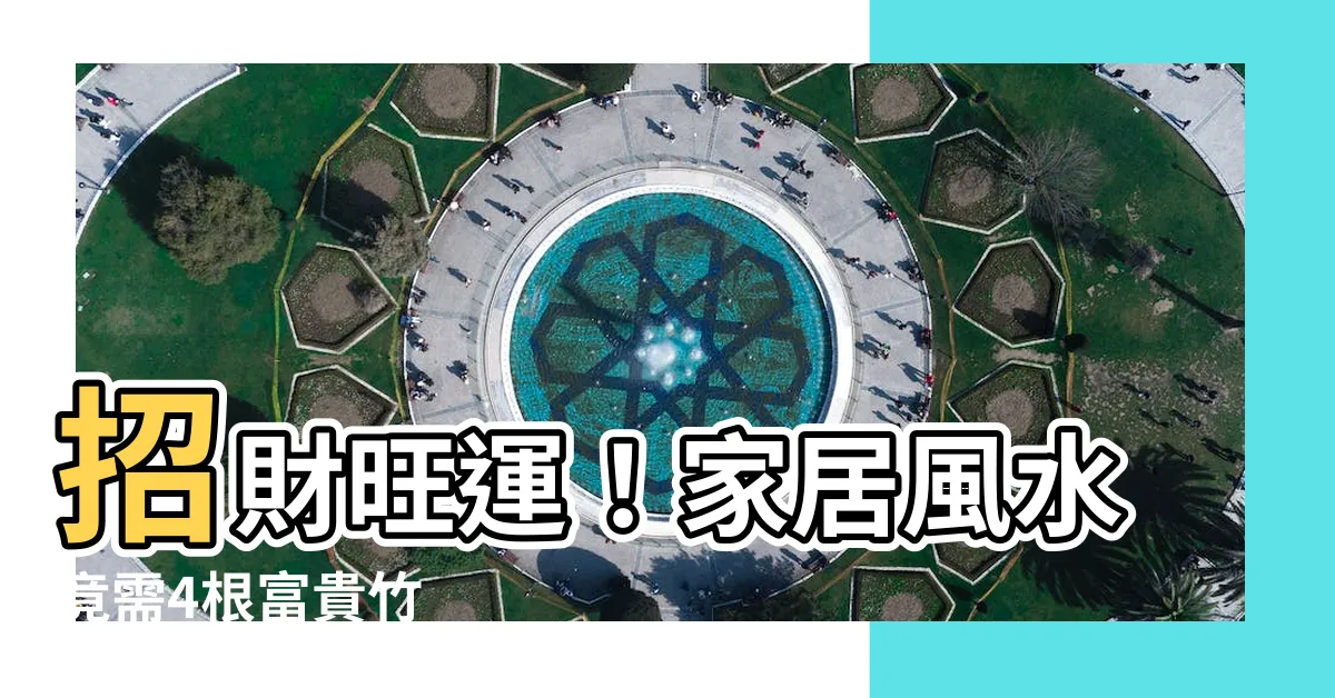 【4枝富貴竹】招財旺運！家居風水竟需4根富貴竹