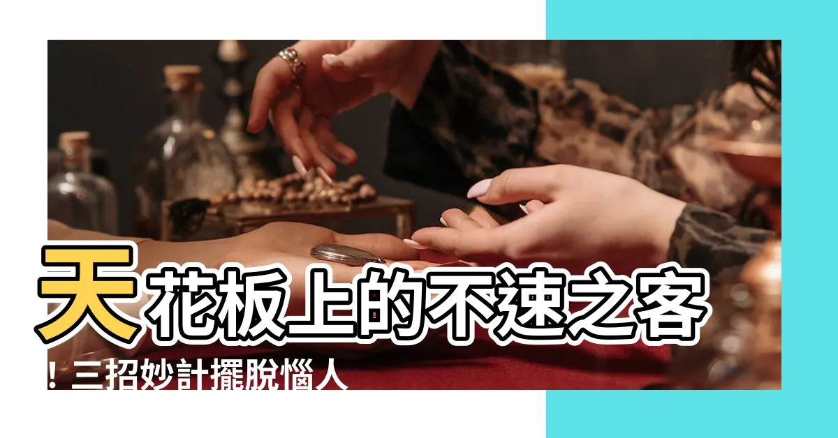 【天花板 老鼠】天花板上的不速之客！三招妙計擺脱惱人天花板老鼠