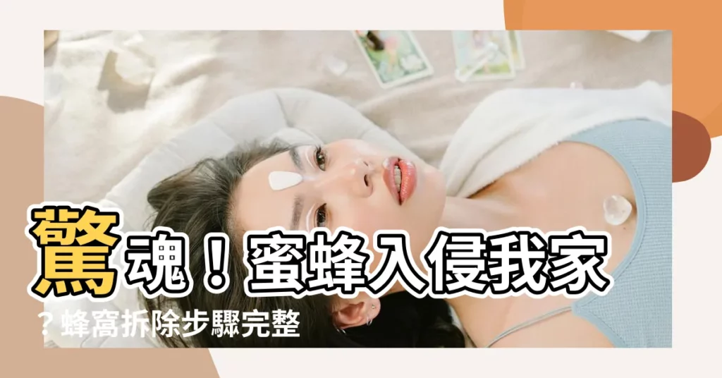 【蜂窩拆除】驚魂！蜜蜂入侵我家？蜂窩拆除步驟完整教學，讓你秒懂防範之道！