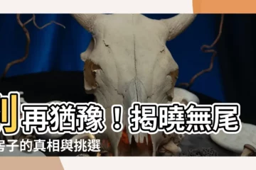 【無尾巷的房子】別再猶豫！揭曉無尾巷房子的真相與挑選秘訣！