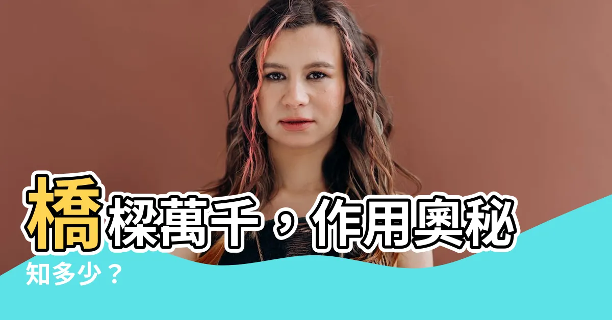 【橋的作用】橋樑萬千，作用奧秘知多少？