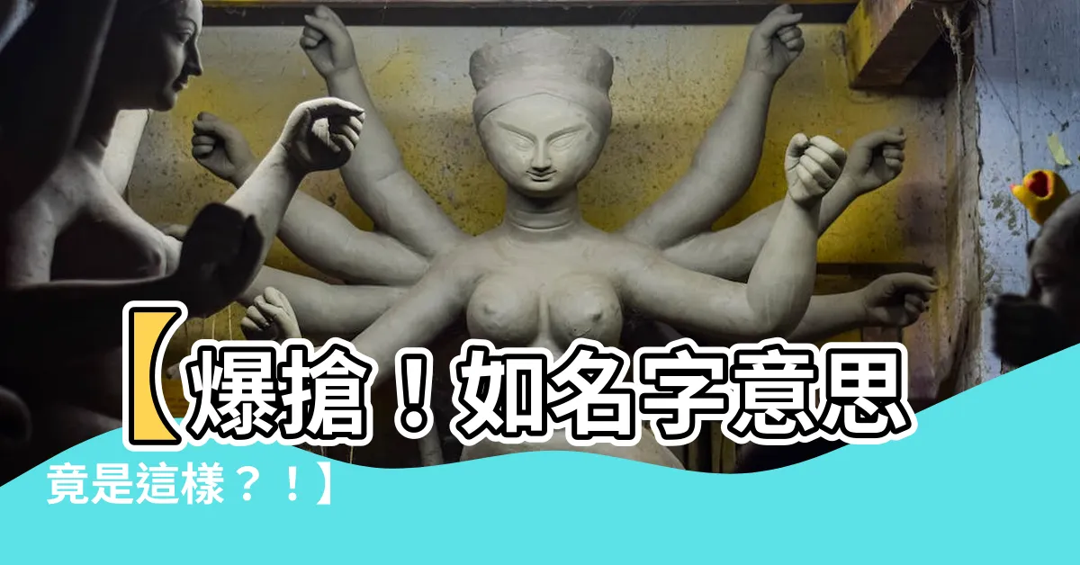【如名字意思】【爆搶！如名字意思竟是這樣？！】