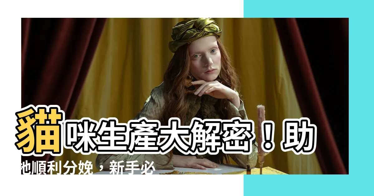 【貓生小貓】貓咪生產大解密！助牠順利分娩，新手必看！