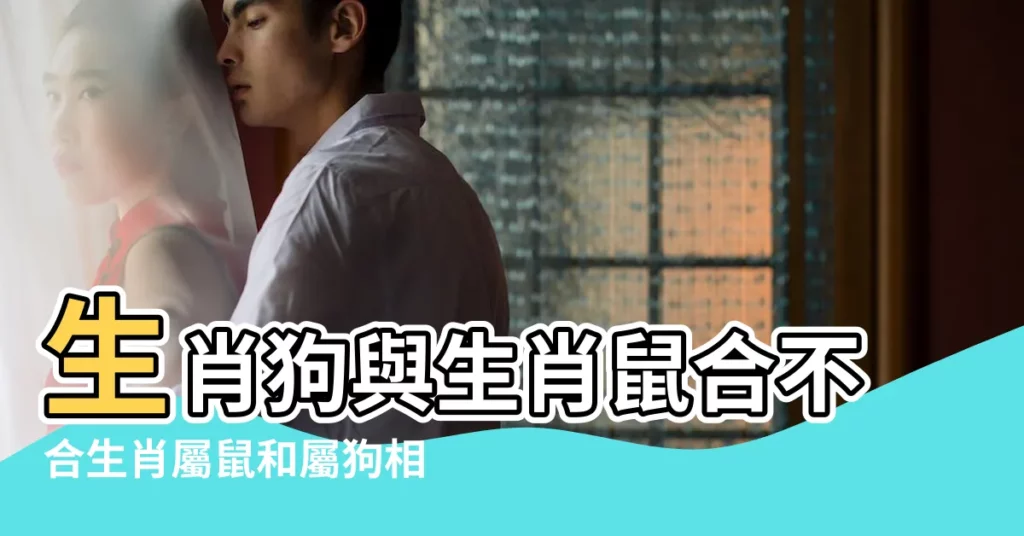 生肖狗與生肖鼠合不合生肖屬鼠和屬狗相合配對指數 |狗和鼠的屬相合不合 |狗和老鼠屬相合不合合作生意怎麼樣 |【狗和老鼠八字】