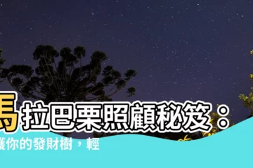 【馬拉巴慄照顧】馬拉巴慄照顧秘笈：養護你的發財樹，輕鬆招財！