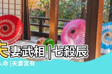 【夫妻宮七殺帶天羅地網】夫妻武相 |七殺辰戌入命 |夫妻宮有七殺星 |
