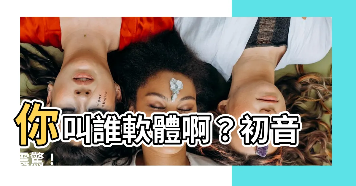 【你叫誰軟體啊】你叫誰軟體啊？初音震驚！